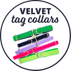 Velvet Tag Collars | The Hound Haberdashery