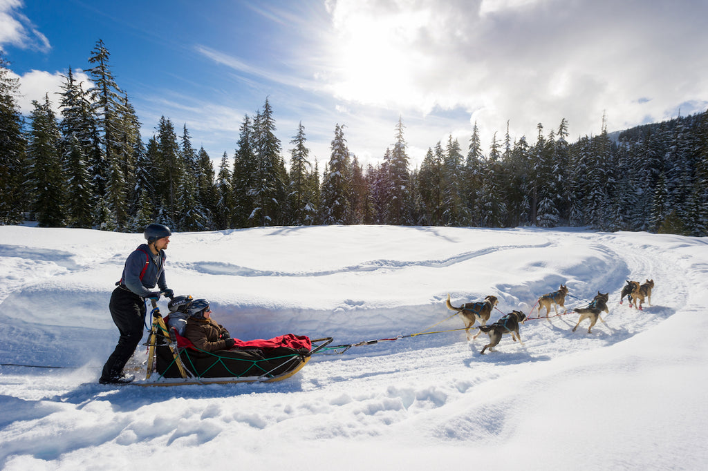 Dog sledding whistler