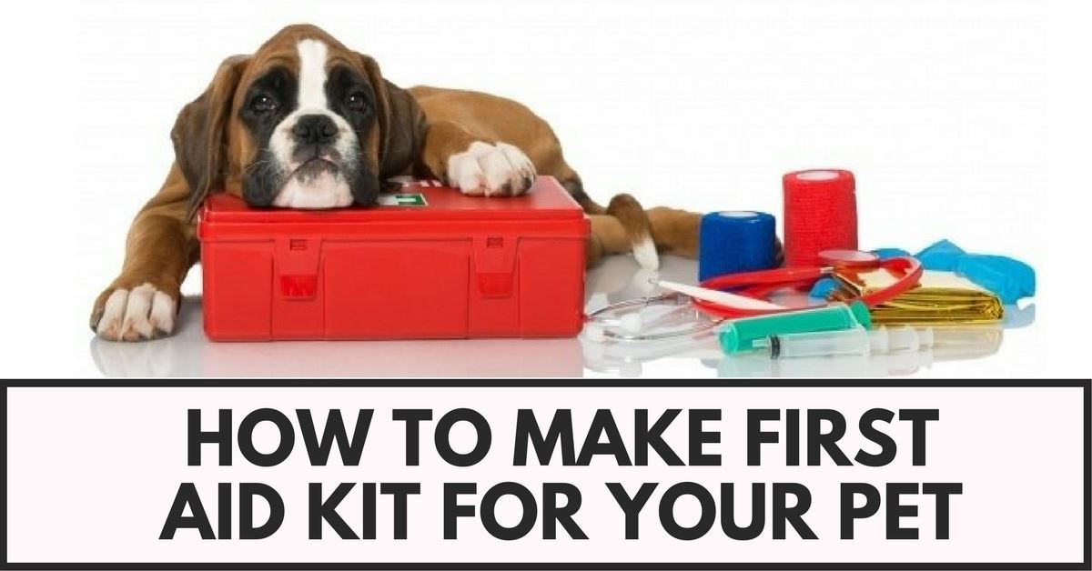 bird dog first aid kit