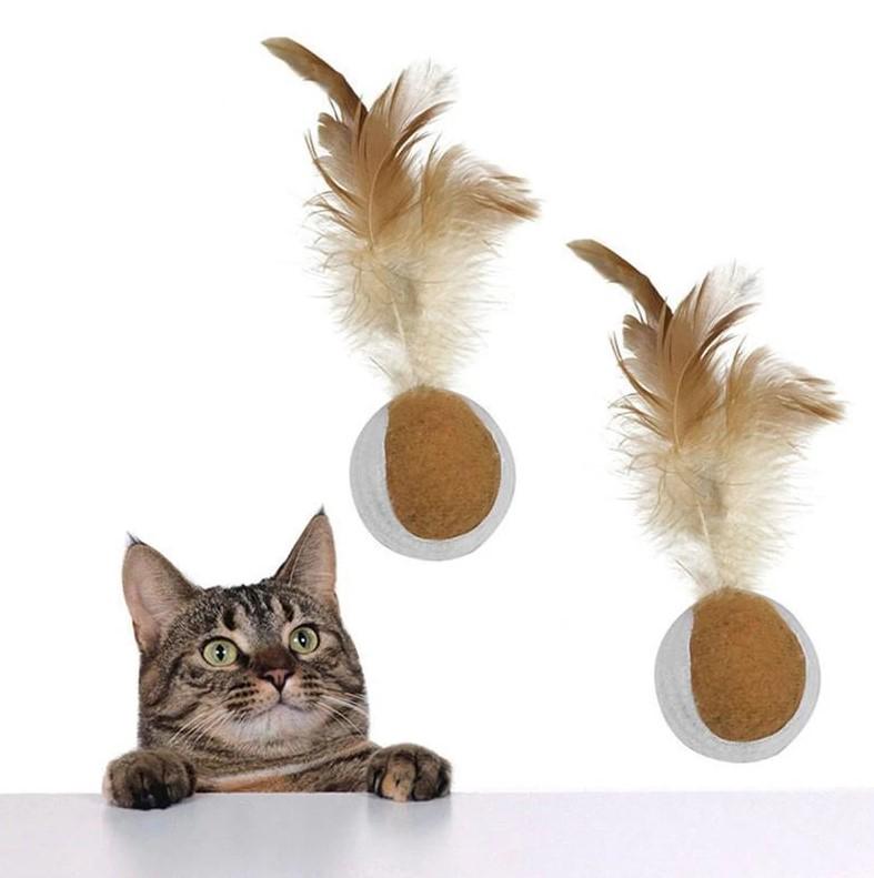 moving cat toys