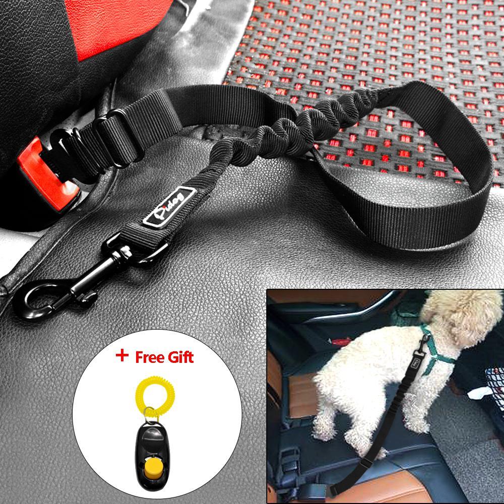 dog seat belt leash