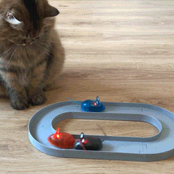 electronic mouse cat toy
