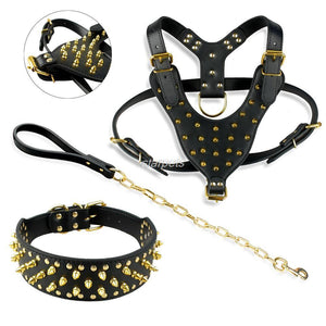 harness collar and leash sets