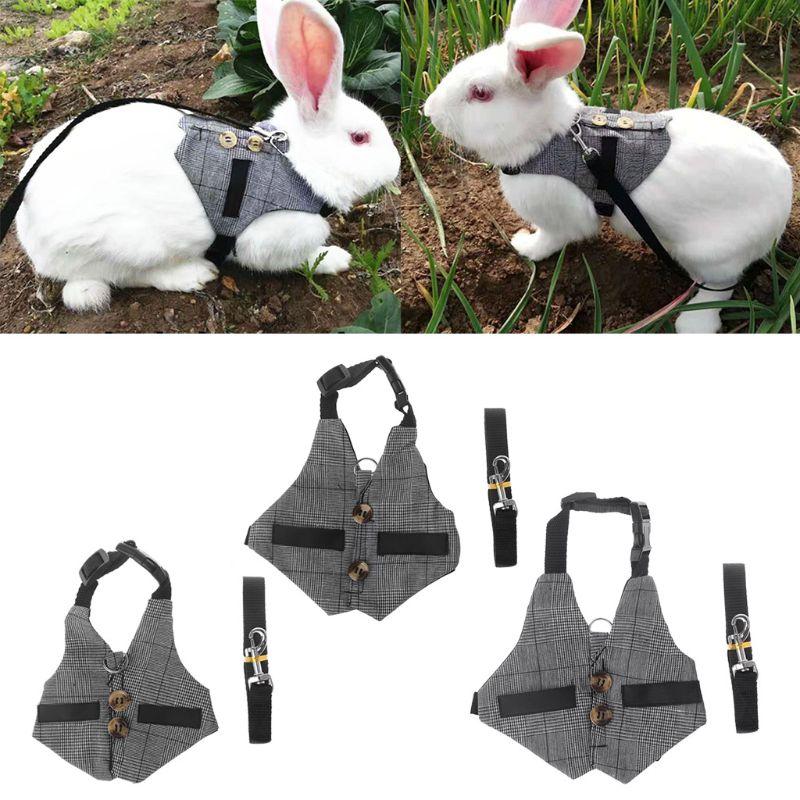 rabbit vest harness
