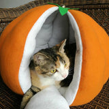 pumpkin cat house