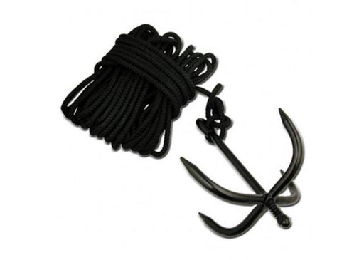 2-piece Chinese Hook Sword Set Black - XL1111