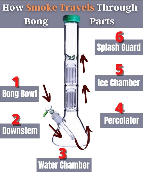 How Does A Bong Work?  Bong Anatonmy 101 – Daily High Club