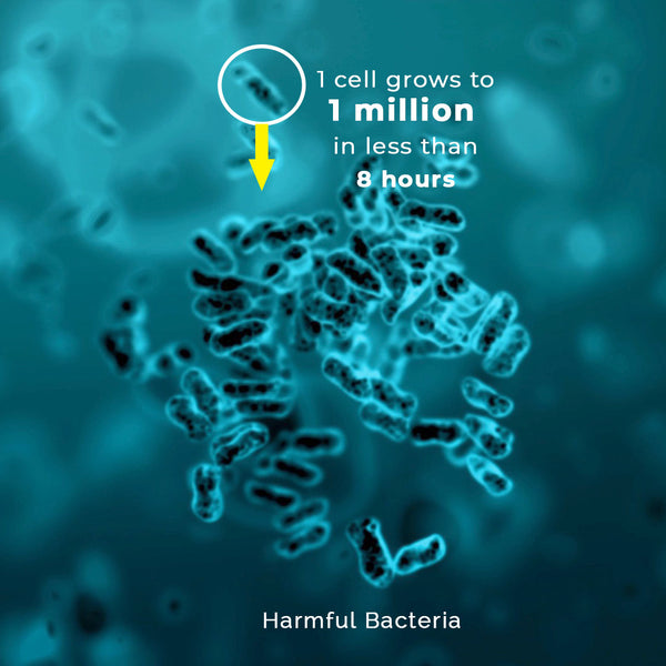 bacteria growth antimicrobial Ornadi