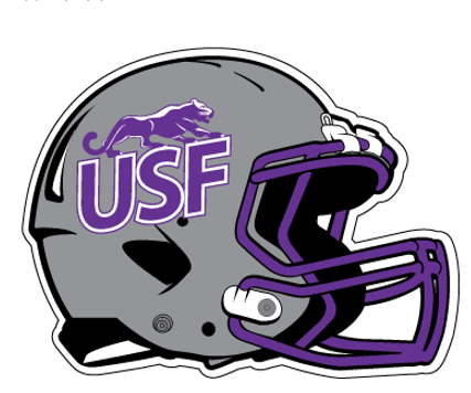  Potter Decals Football Helmet Decal 