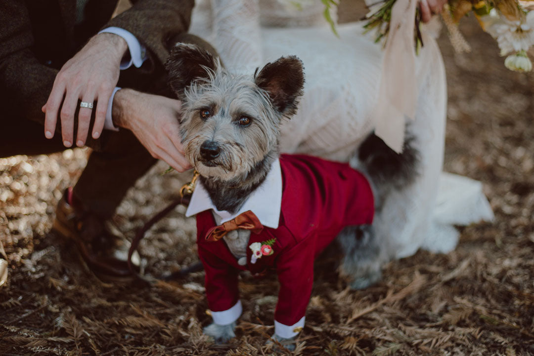 Furry wedding party companion jacket