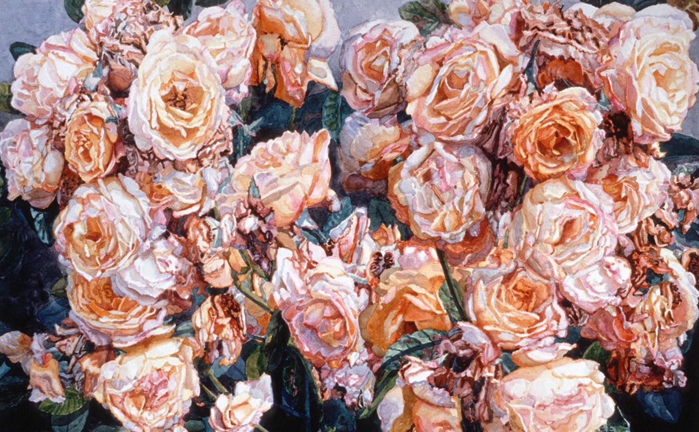 Faded Blush Roses by Shirley Pettibone
