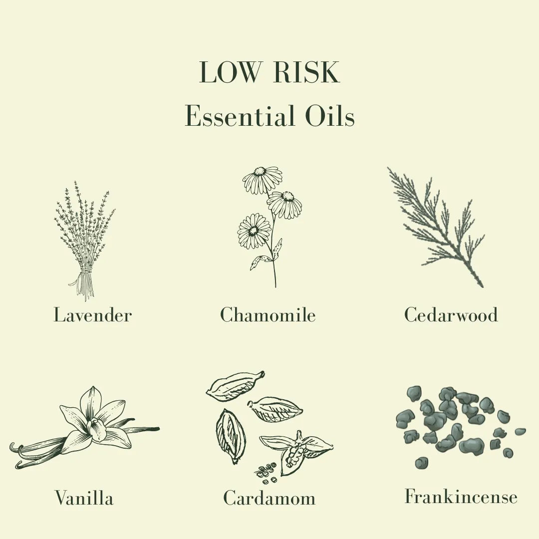 Illustrations of various dog-safe essential oils with labels on a beige background