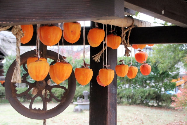 dried shibu gaki (persimmons)