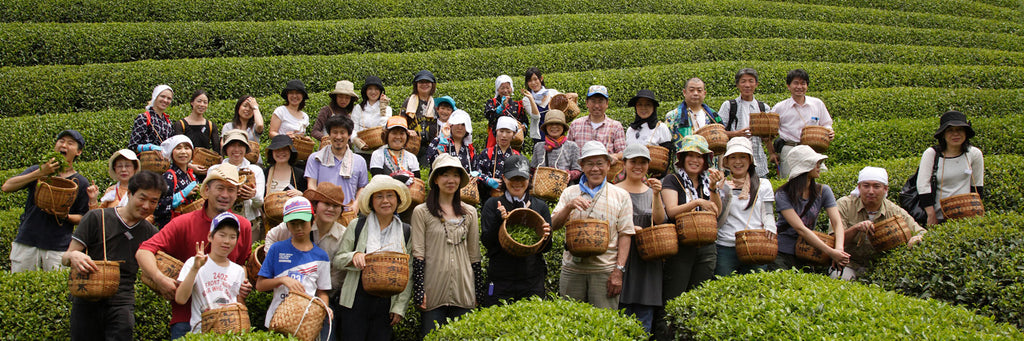 Matcha Production Set  Kyoto Obubu Tea Farms