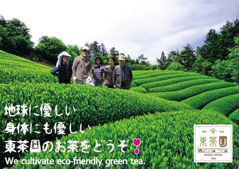 Azuma Tea Garden