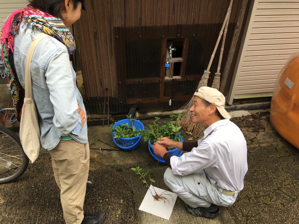 Nakai-san, tea farmer