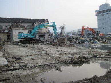 Aftermath of the 2011 Tsunami in Northern Japan