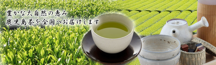 Pan Fired Green Tea - Village Roaster