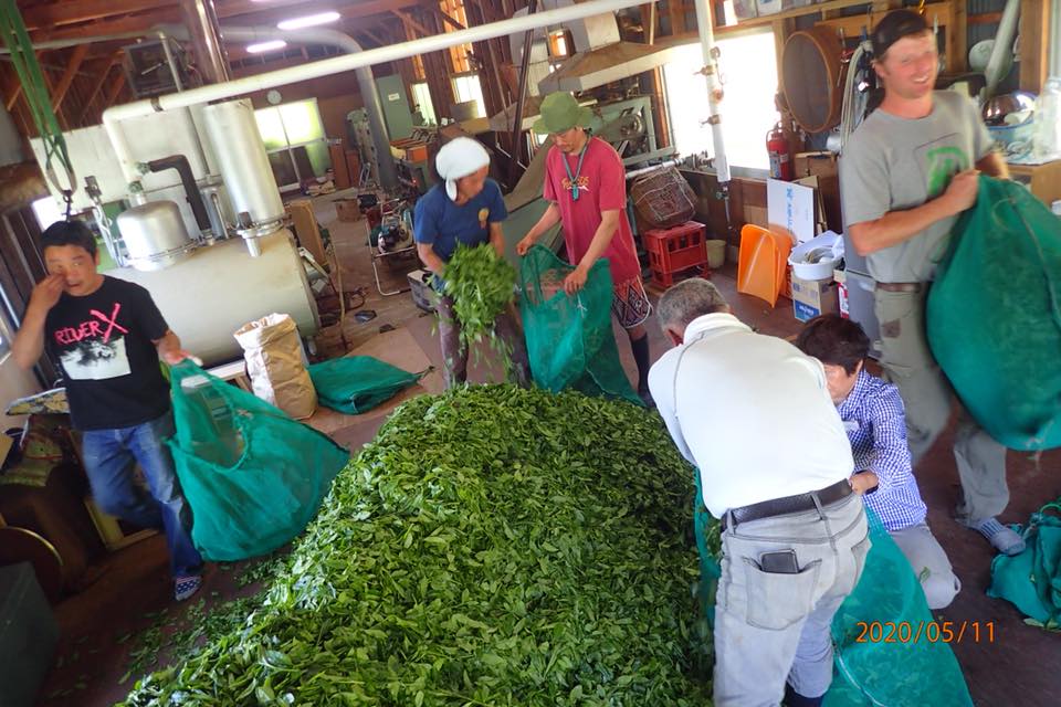 Yancha - tea farmers community