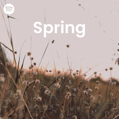 Spring Spotify Plyroom