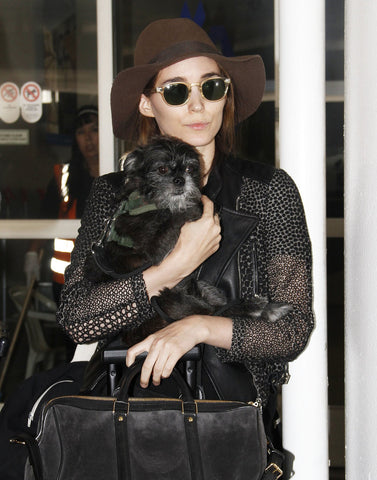 Rooney Mara Wears Yigal Azrouël