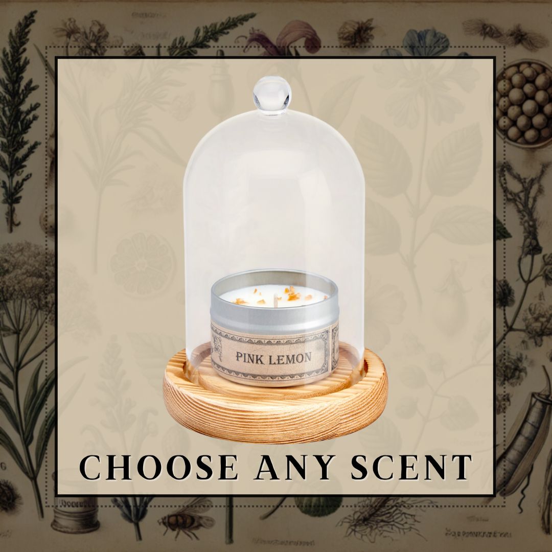 NEW Candle in Cloche Bell Jar Display Set - Choose A Scent WHOLESALE