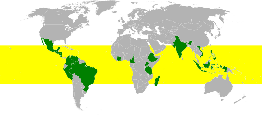 world map coffee belt