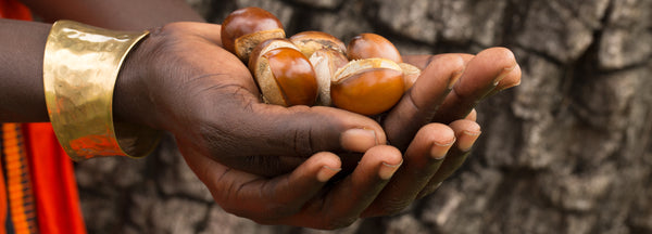 shea butter african