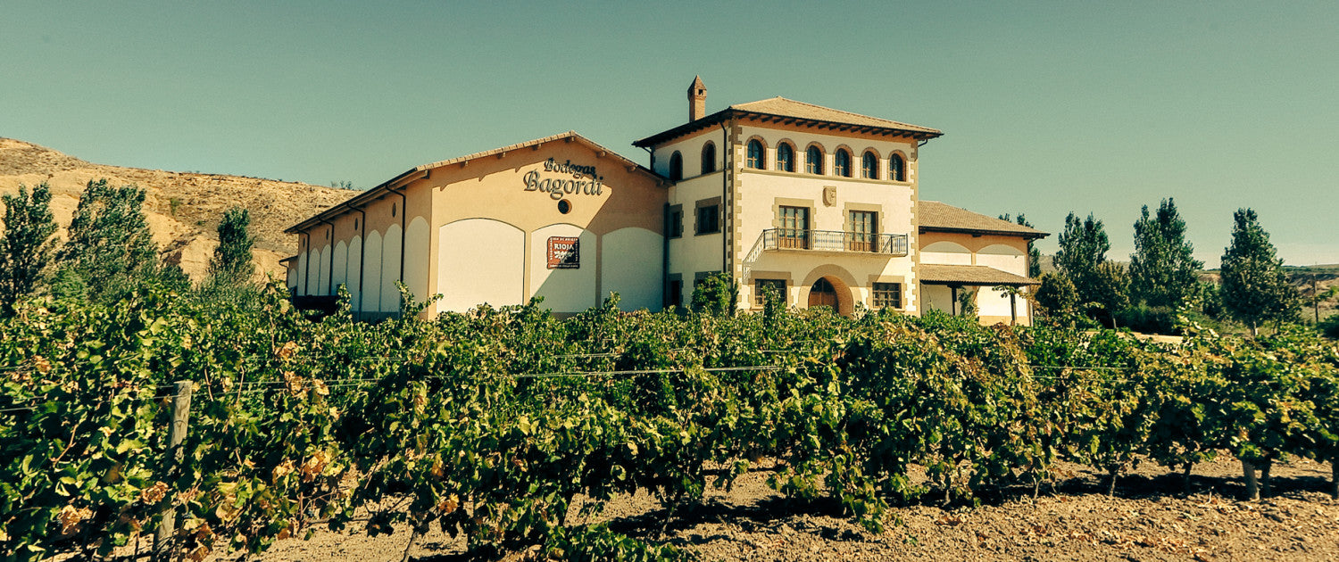 Bodega Bagordi