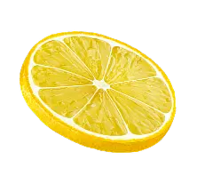 Lemon_Slice_Tilt