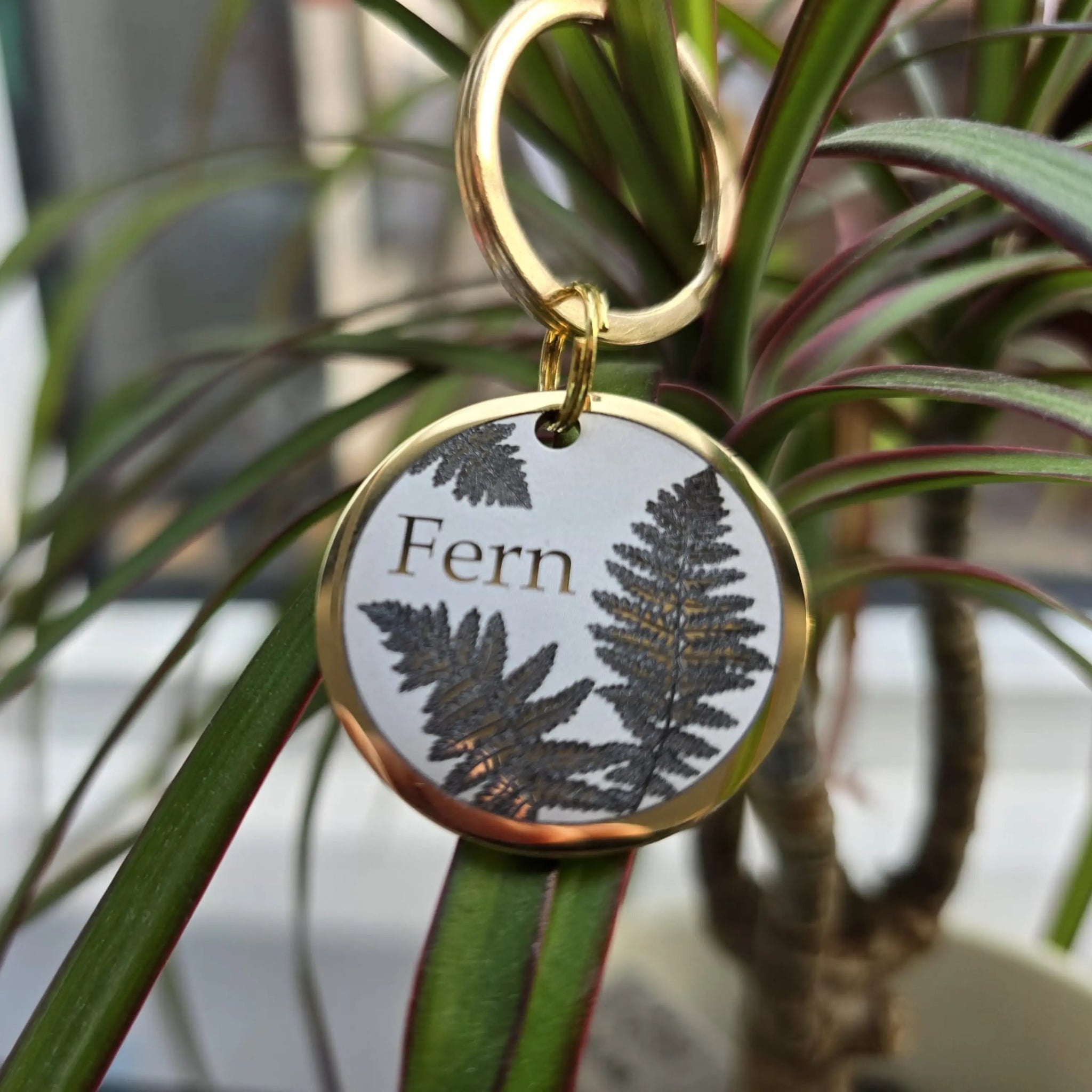 7.webp__PID:c02f5d83-5cd9-4847-a4a0-8580a94e27bb