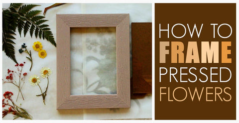 How to Frame Pressed Flowers