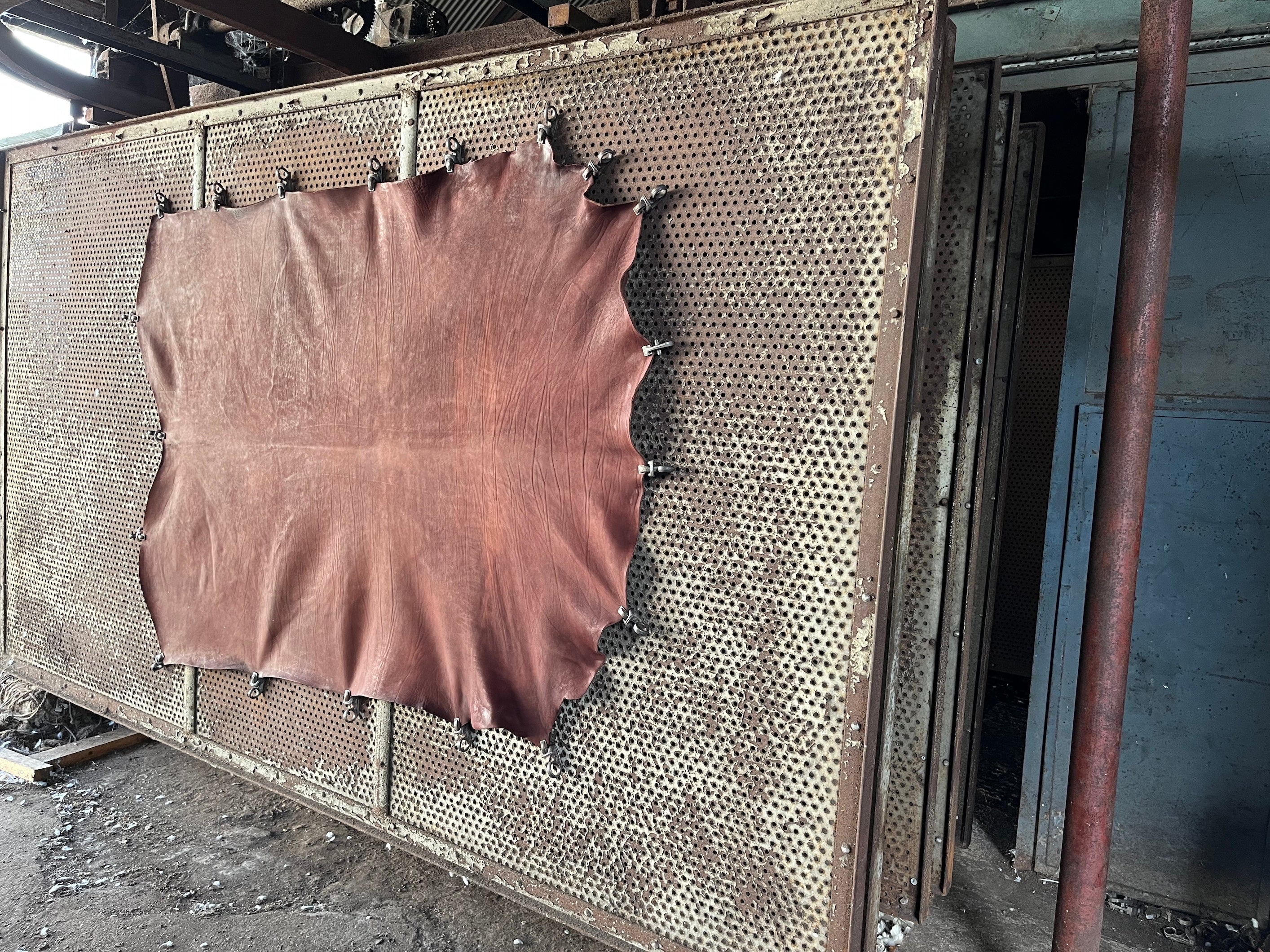 Treated leather hides at tannery