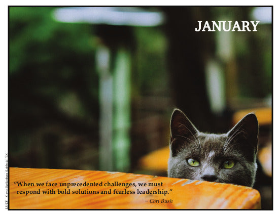 Cat Lovers Calendar