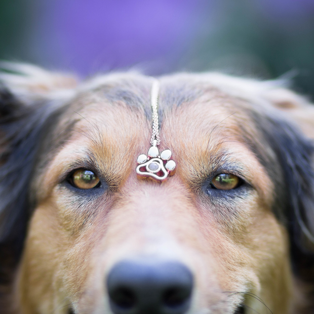 personal pet necklace