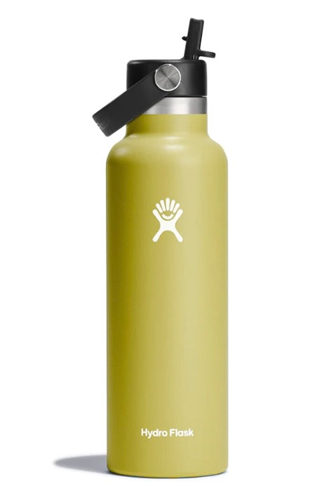 Hydro Flask 21oz Standard With Flex Straw- Cactus