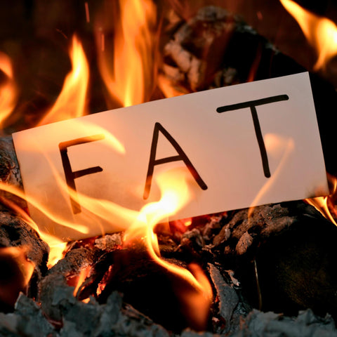 fat burning