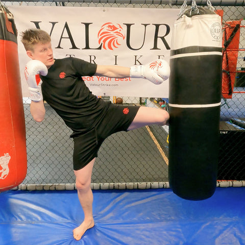 round house training by valour strike kicking 101 lessons to kick