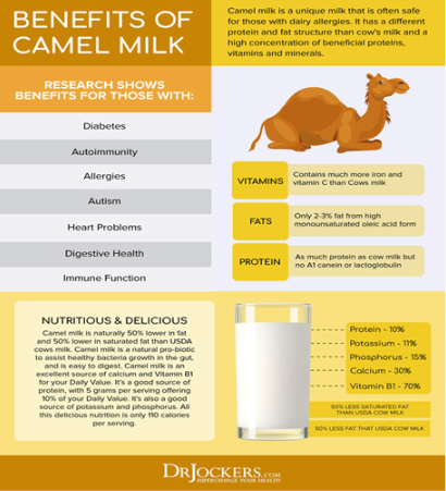 benefits of camel milk infographic