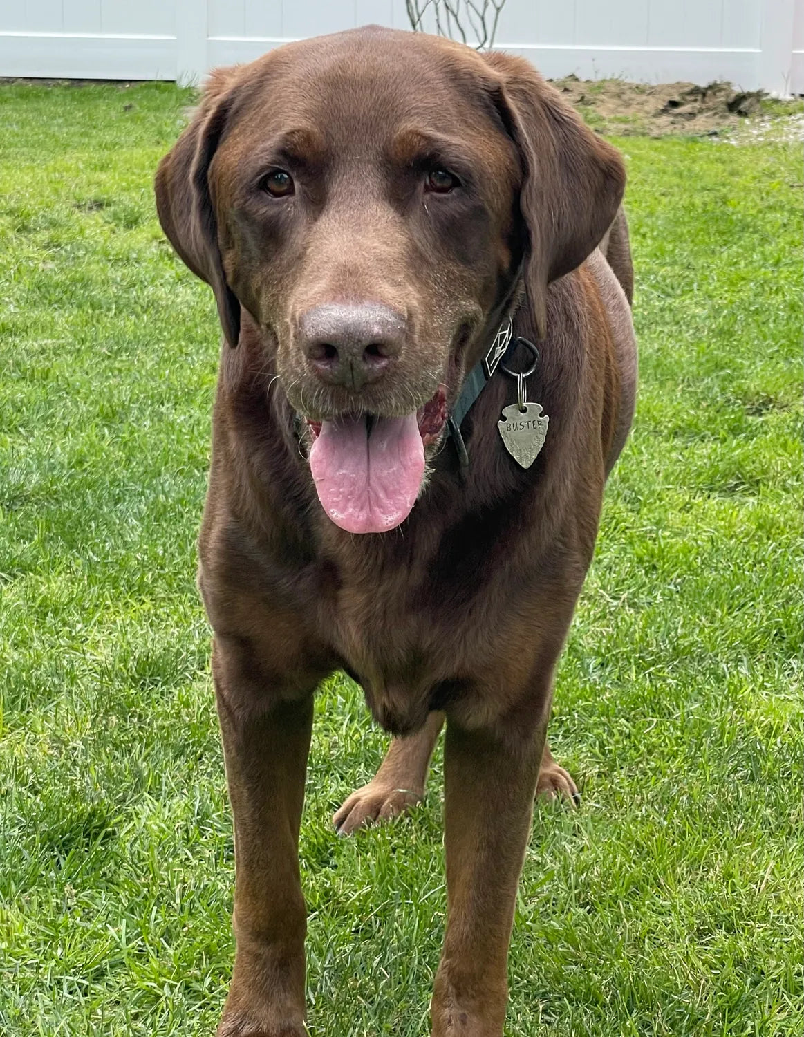 Buster
