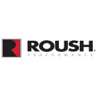 Roush 089999-00006 - 15-19 Ford F150 2.7L/3.5L EcoBoost Replacement Dry Air Filter
