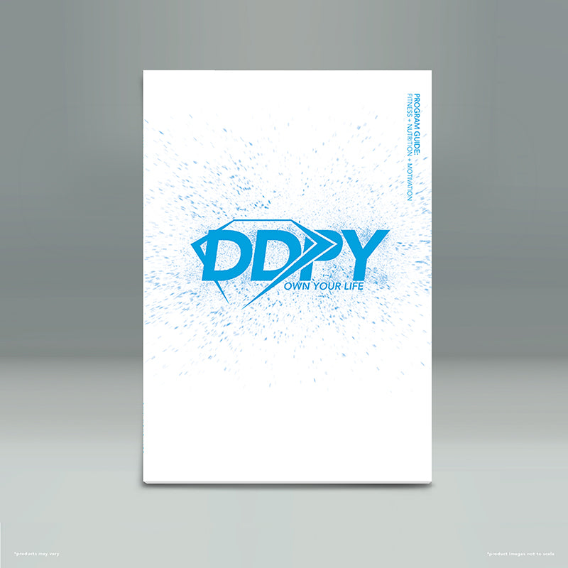 ddp yoga program guide pdf