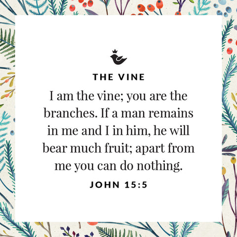 I am the vine; you are the branches. If a man remains in me and I in him, he will bear much fruit; apart from me you can do nothing. John 15:5