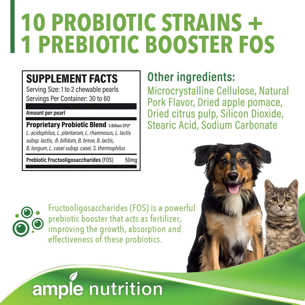 can a dog get too much probiotics