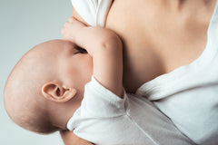 Boobbix Lactation Cookies Breastfeeding
