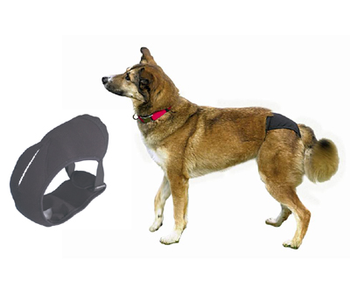 Protective pants hot sale for dogs