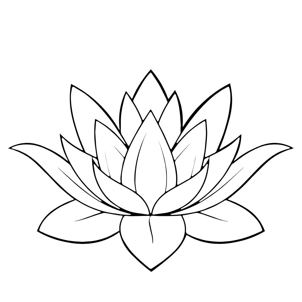 Indian lotus