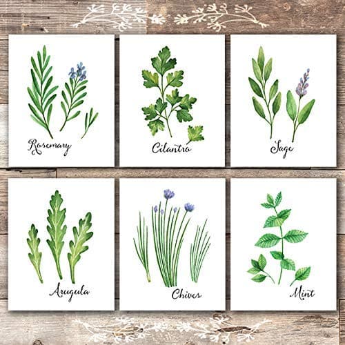 Kitchen Herbs Art Prints (Set of 6) - Unframed - 8x10s | Botanical ...