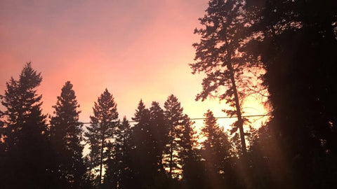 The Montana Scene Valentine's Blog 