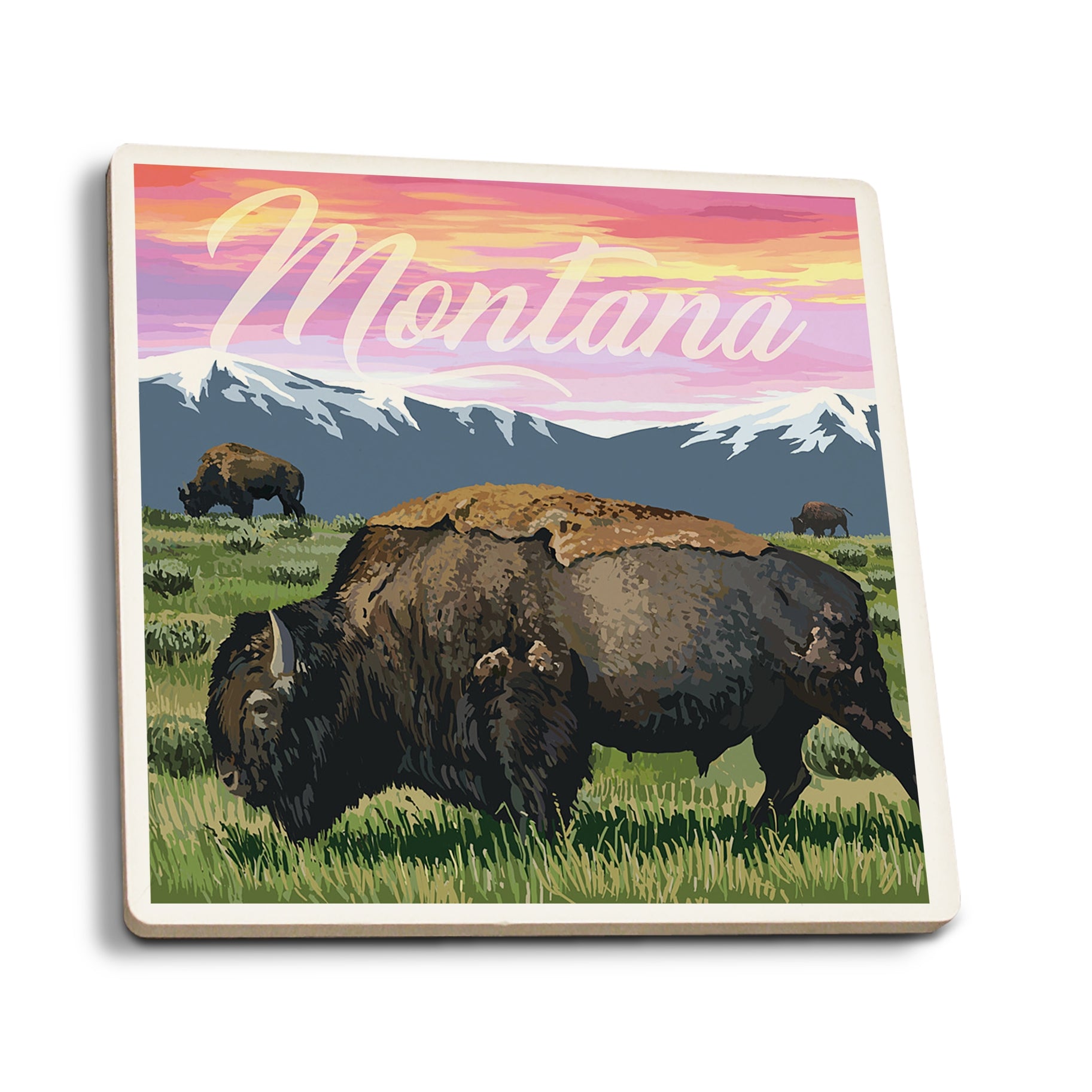 Montana - Bison and Sunset Coaster